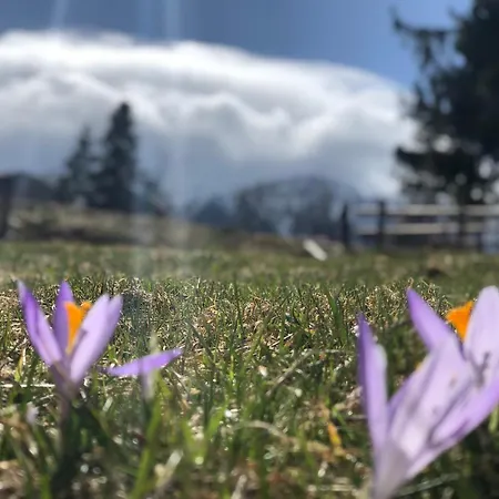 Geovita Ośrodek wypoczynkowy Zakopane