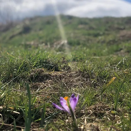 Geovita Ośrodek wypoczynkowy