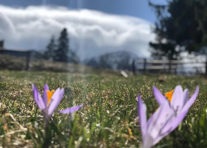 Geovita Resort Zakopane